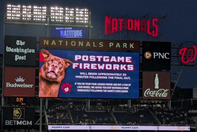 Los Nationals: Perros y fuegos artificiales van bien juntos